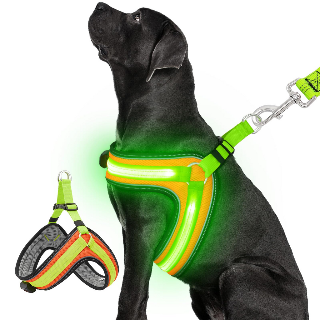 Aero - Bright™ Neon - Grid Interface Pets - Dog Collars & Leads Petcetera™