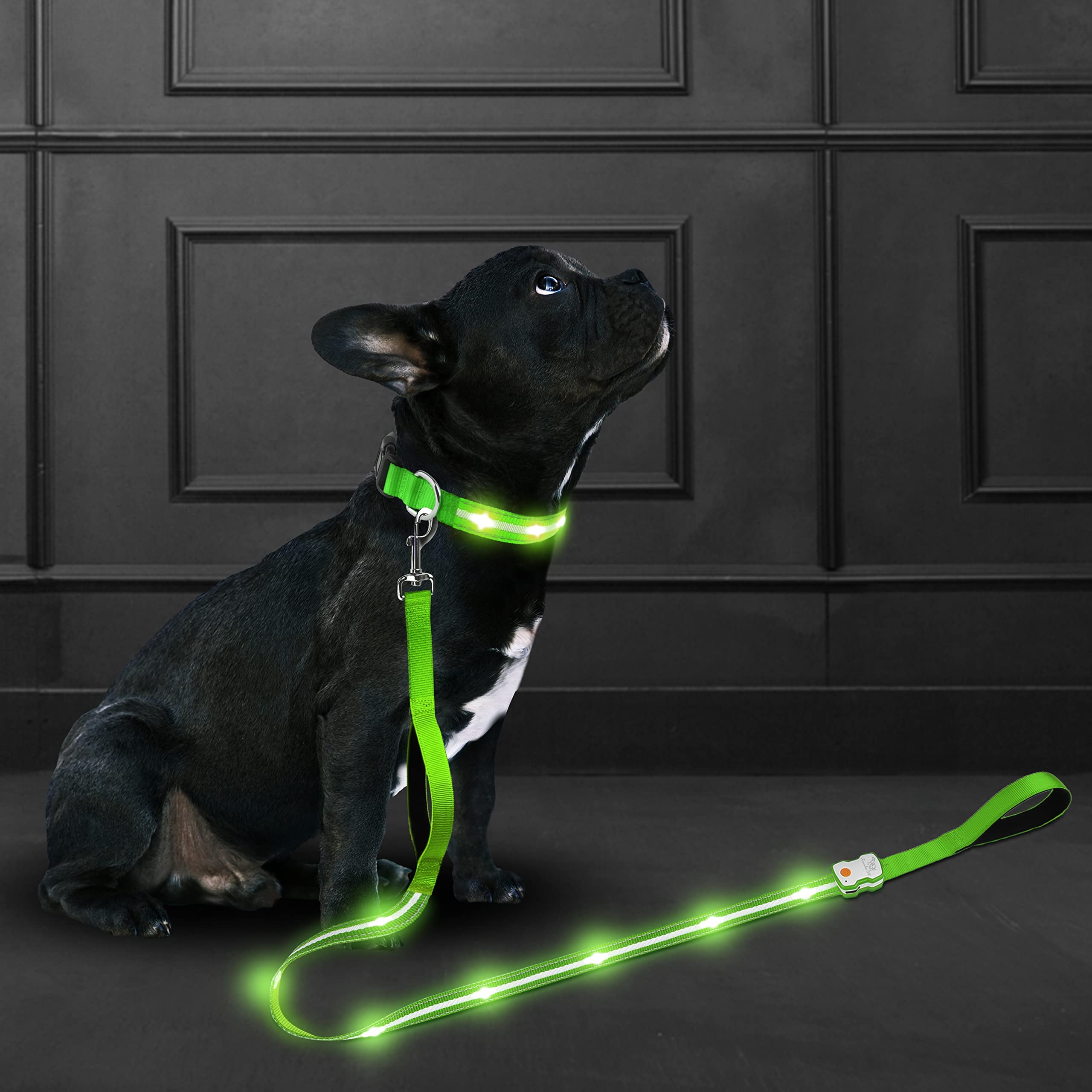 Aero - Link™ Night - Vision Mobility Tether Pets - Dog Collars & Leads Petcetera™