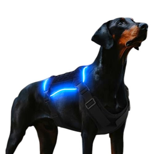 Aero - Series™ Aura - Drive LED Harness Pets - Dog Collars & Leads Petcetera™