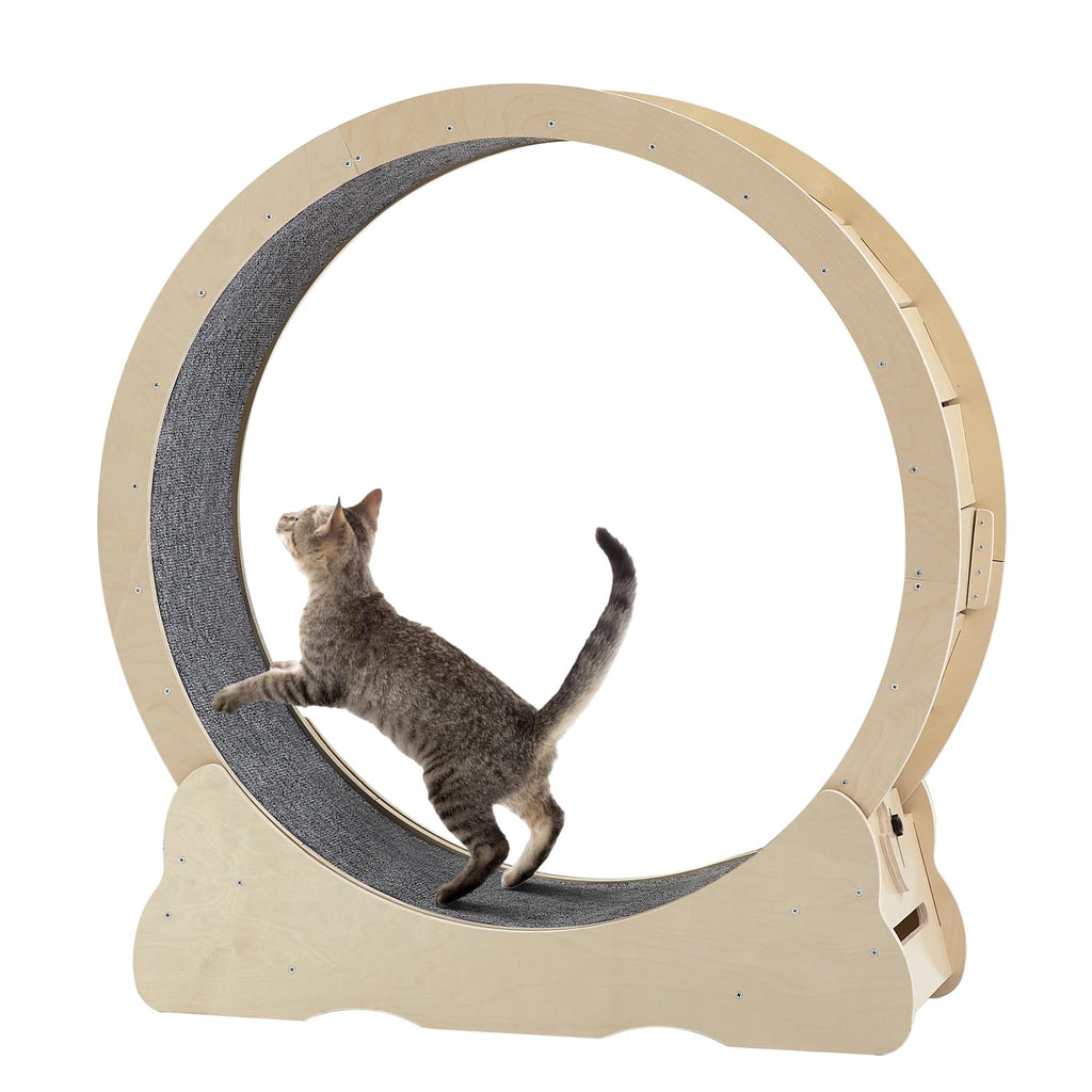 Aura - Drive™ Studio - Grade Kinetic Wheel Pets - Cat Supplies Petcetera™