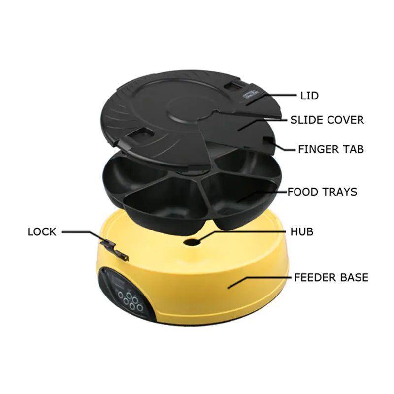 The "Harmony-Duo" Automatic Feeding Station with Stainless Steel Basin