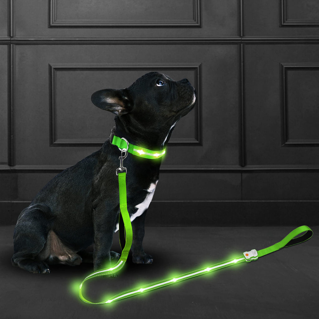 Aero - Link™ Night - Vision Mobility Tether Pets - Dog Collars & Leads Petcetera™