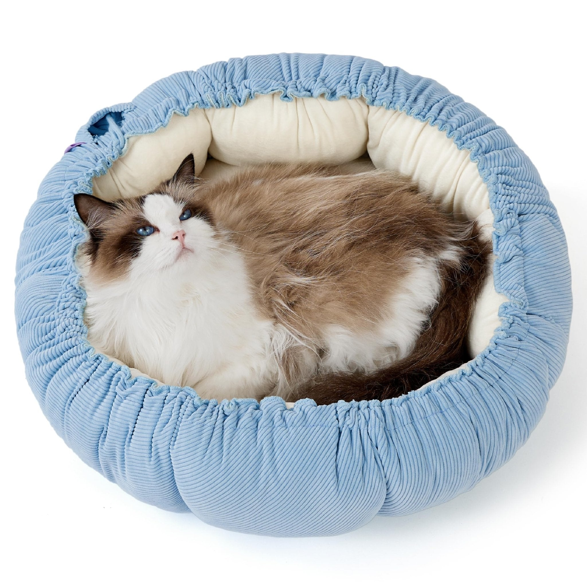 Aero - Flex™ Modular Rest System Pets - Cat Supplies Petcetera™