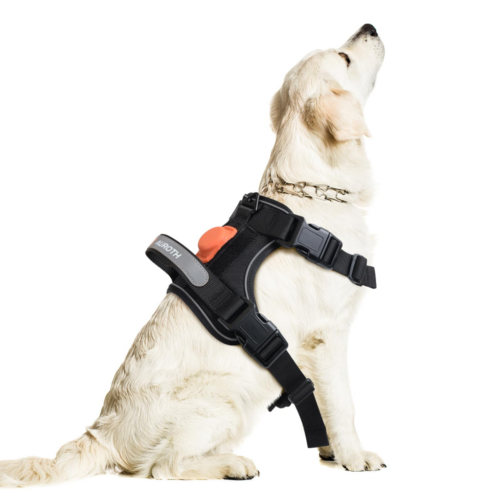 Aero - Guard™ Tactical Command Vest Pets - Dog Collars & Leads Petcetera™