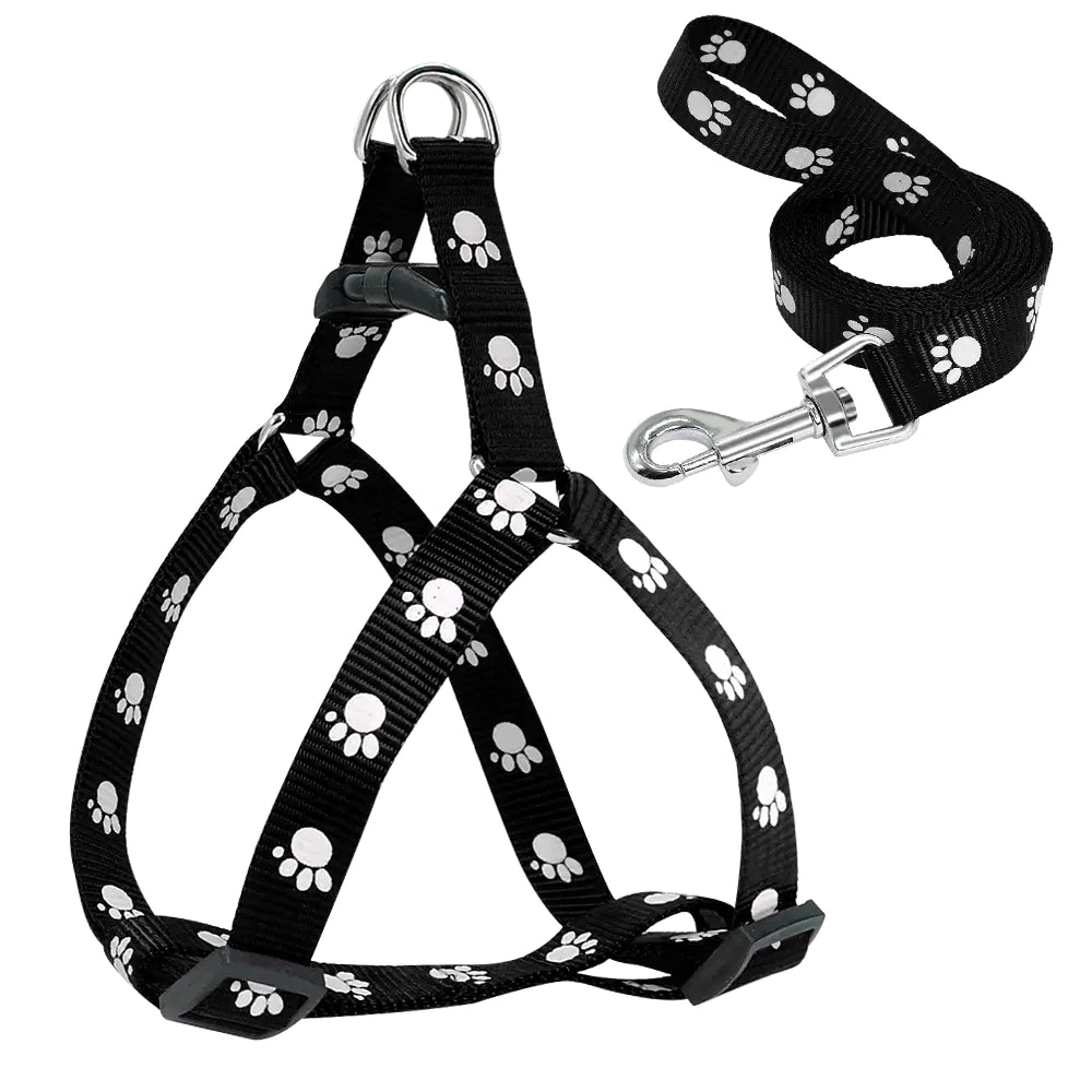 The Aero-Couture: Patterned Designer Collar & Lead System