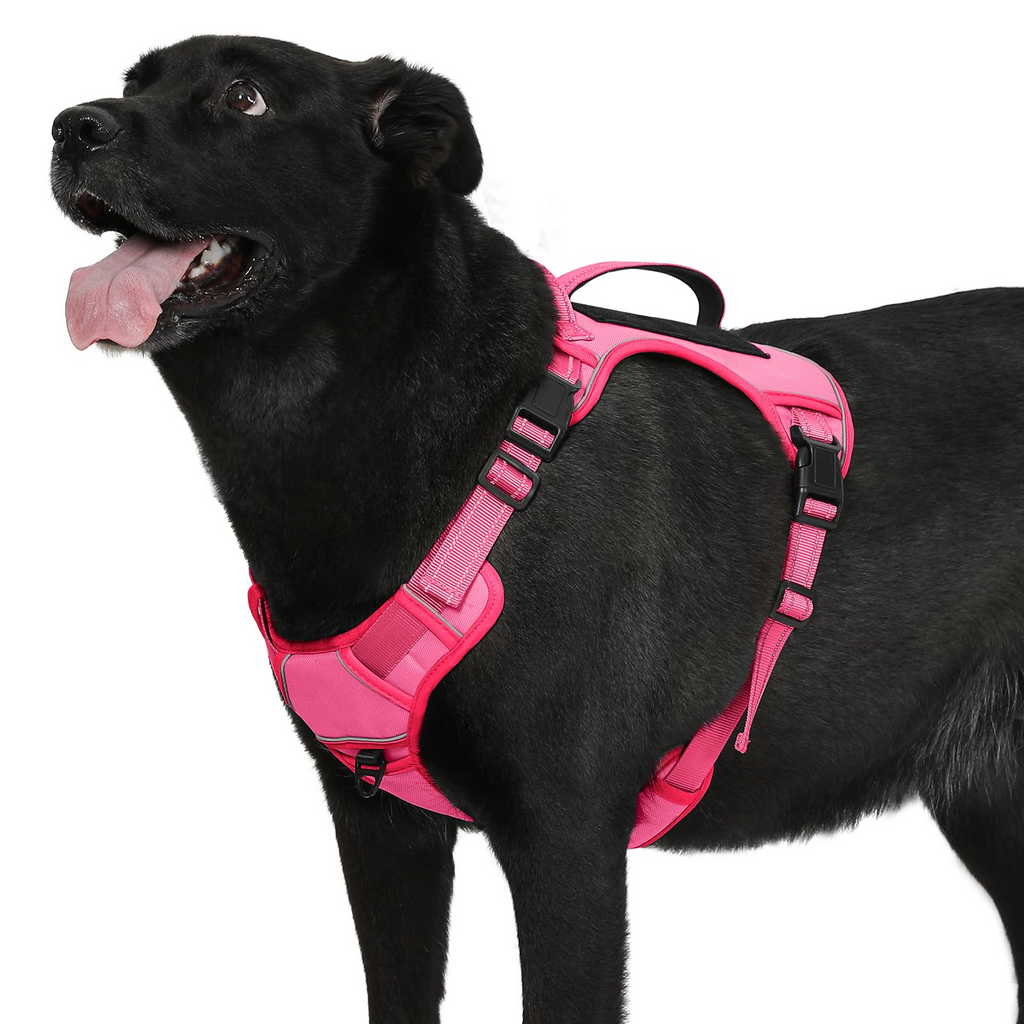 Aero - Shell™ Heavy - Duty Tactical Interface Pets - Dog Collars & Leads Petcetera™