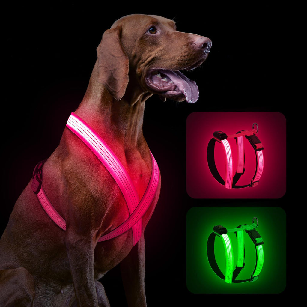 Aero - Lume™ L - Series Max - Platform Pets - Dog Collars & Leads Petcetera™