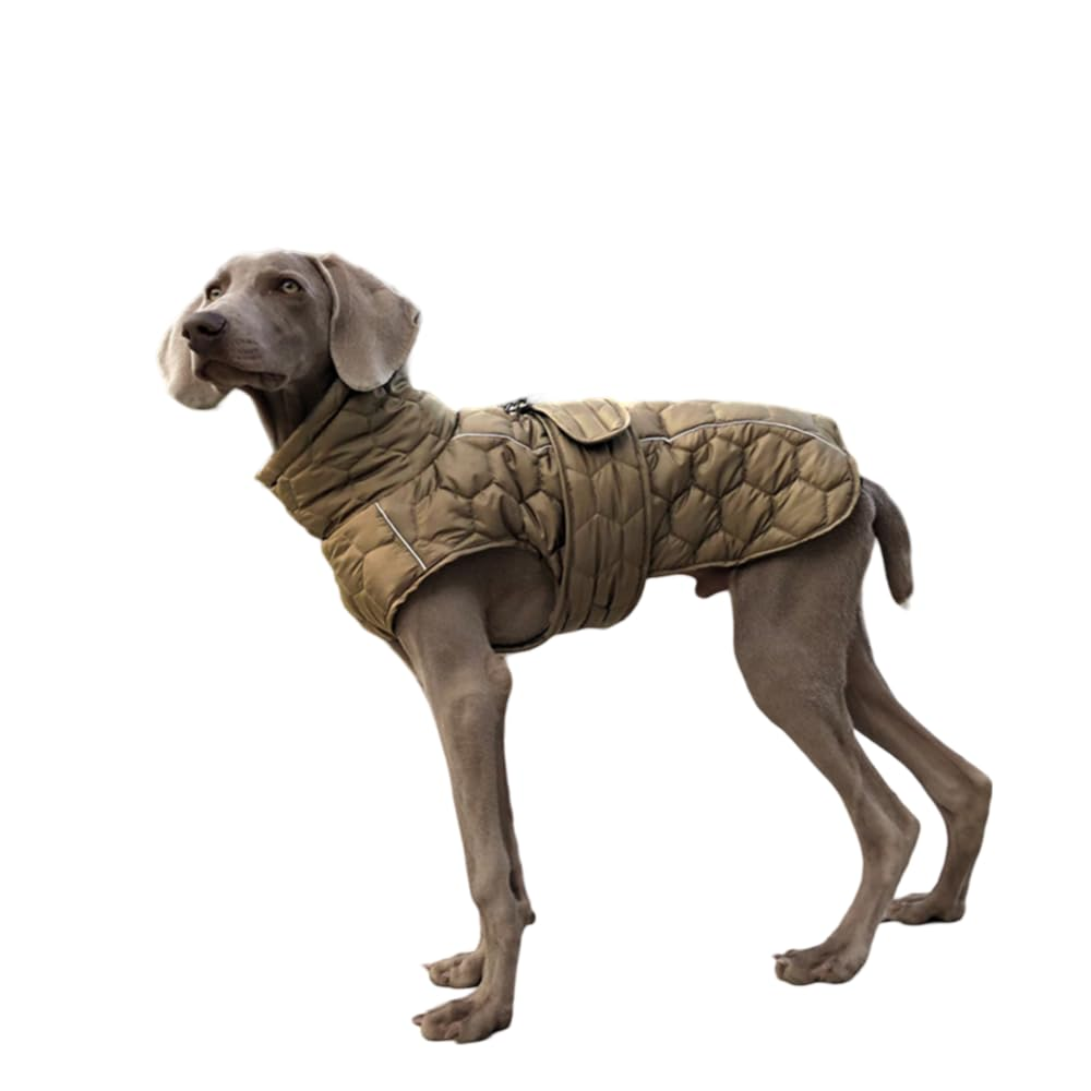 Aero - Shell™ Thermal Isolation Vest Pets - Dog Harnesses Petcetera™