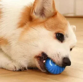 The "Velocity-Sphere" X1 | Intelligent Self-Spinning Dog Toy