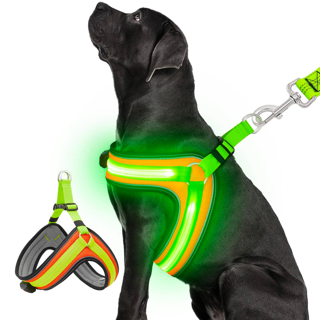 Aero - Bright™ Neon - Grid Interface Pets - Dog Collars & Leads Petcetera™