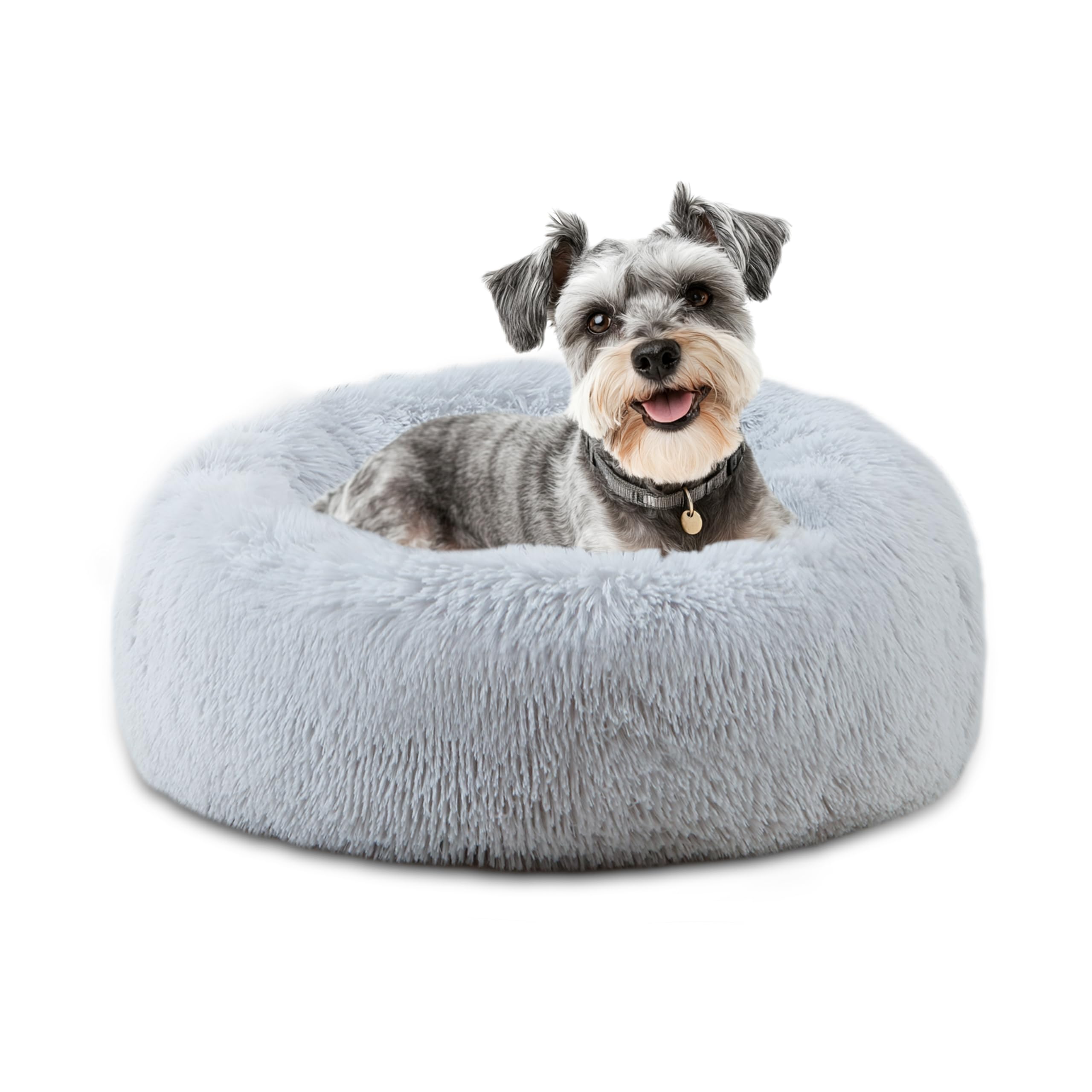 Aero - Rest™ Sanctuary Pets - Cat Supplies Petcetera™