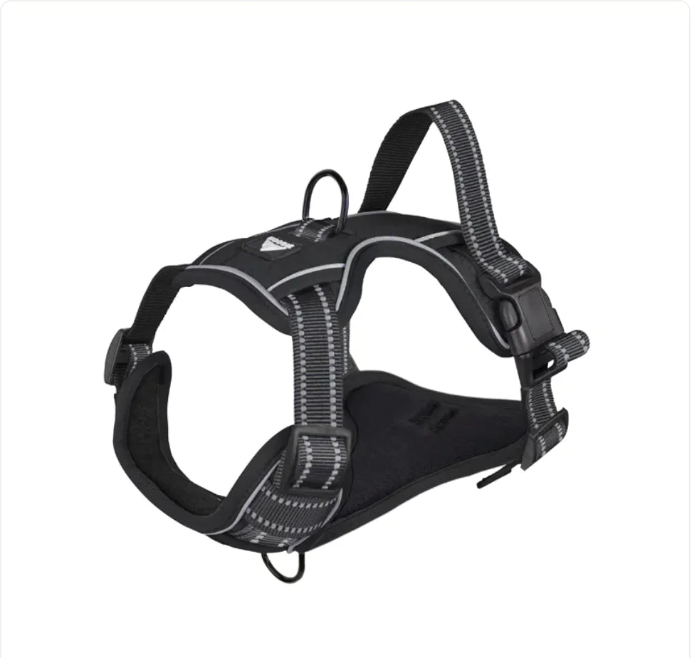 The Aero-Avenue: Night-Vision High-Visibility Harness