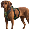 Aero - Series™ Guardian Security Harness Pets - Dog Collars & Leads Petcetera™