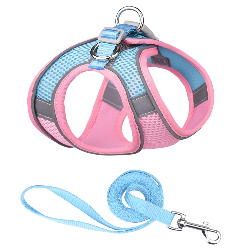 Aero - Mesh™ Kinetic Vest & Tether Set Pets - Dog Collars & Leads Petcetera™