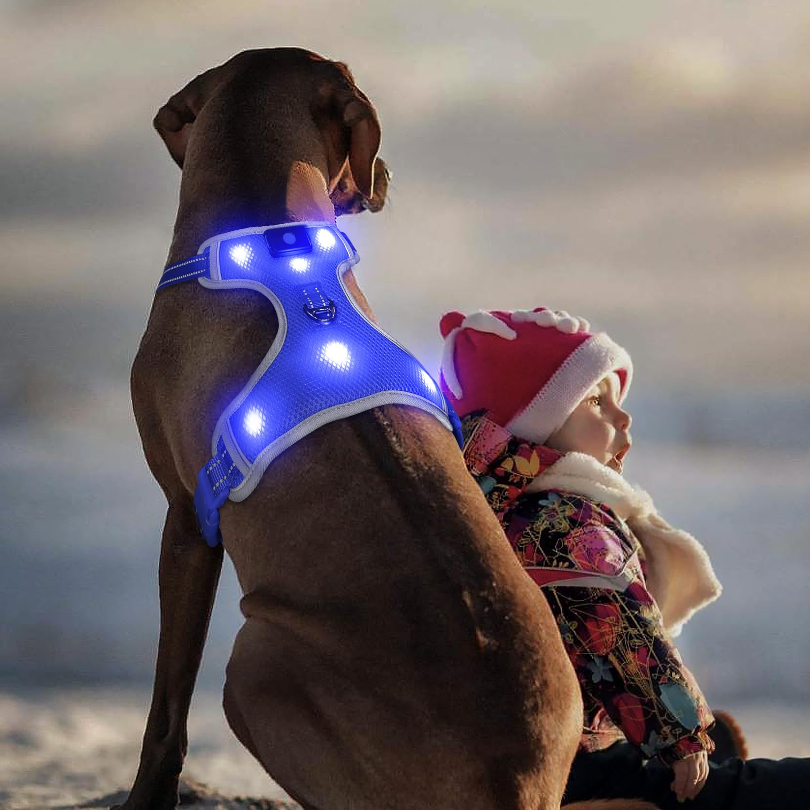 Aero - Lume™ Kinetic Command Vest Pets - Dog Collars & Leads Petcetera™
