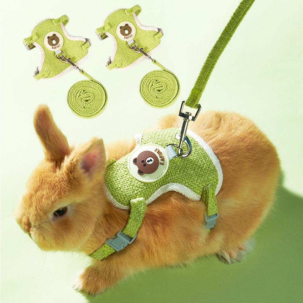 Aero - Micro™ Vector Harness & Tether Pets - Small Animal Supplies Petcetera™