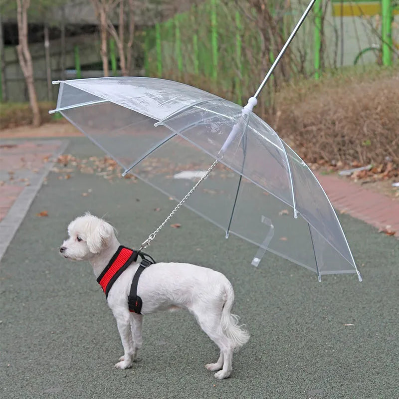 The Gotham Shield: All-Weather Canopy Lead™