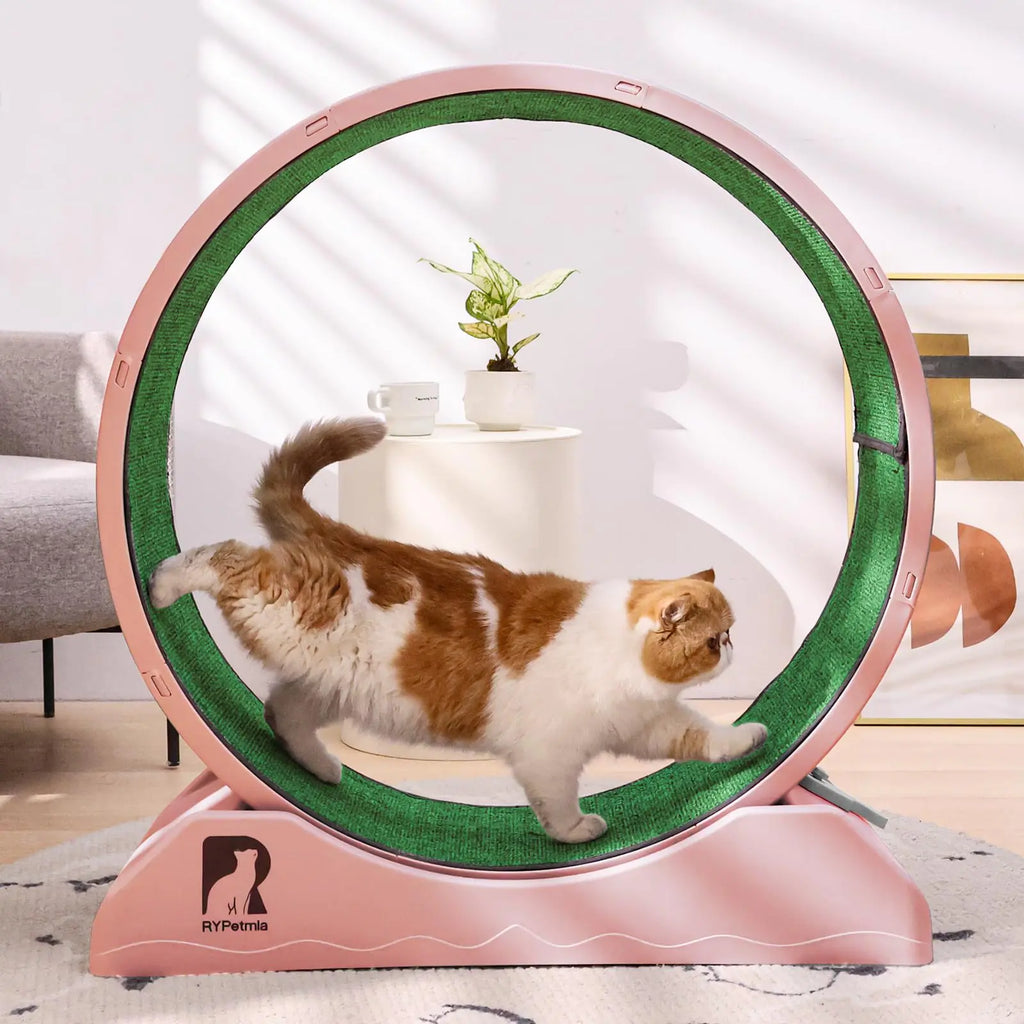 The "Aero-Glide" | Precision Kinetic Feline Trainer