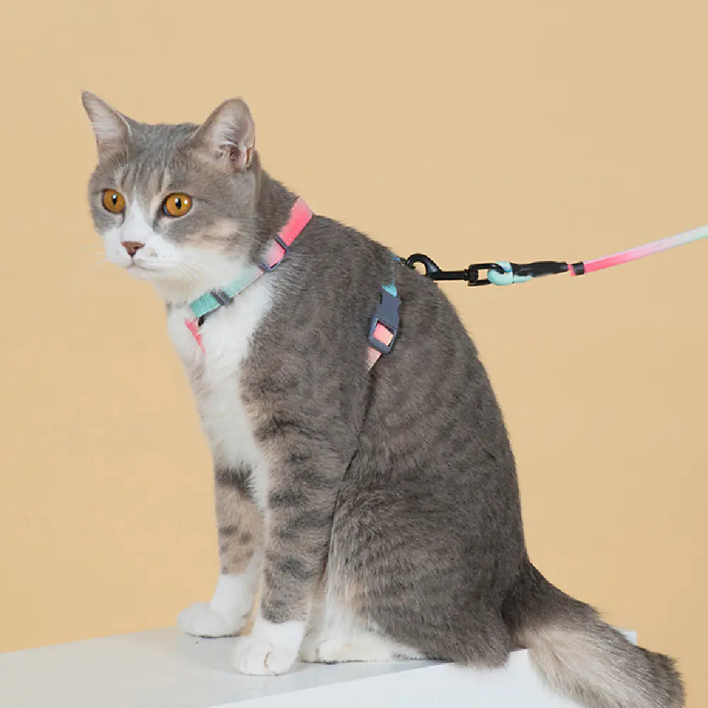 The Aero-Socialite: Escape-Proof Feline Couture System