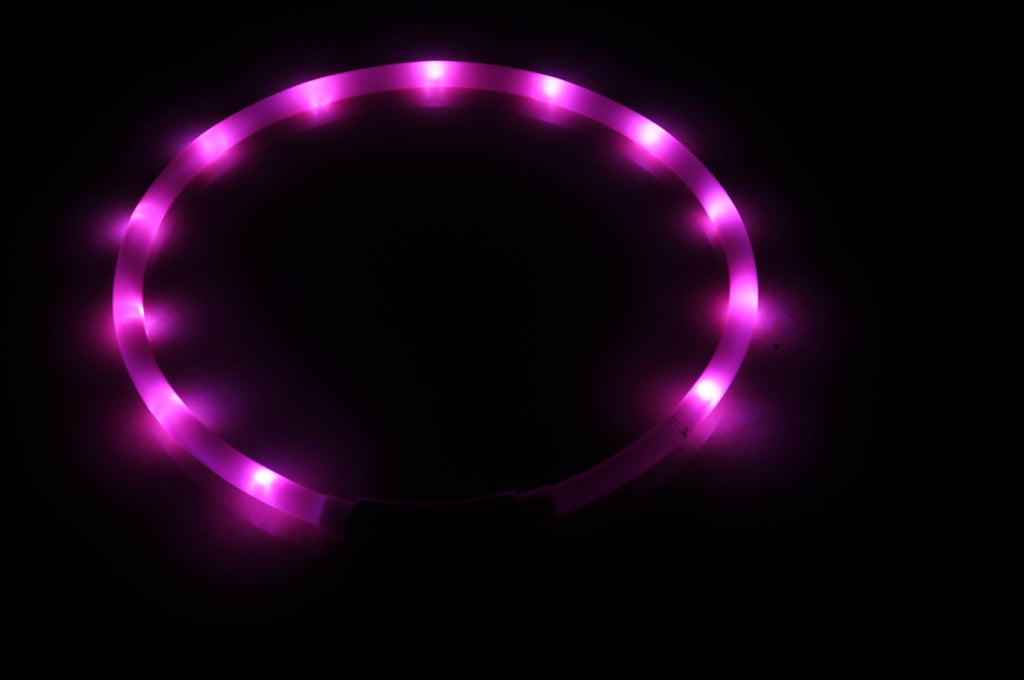 Aero - Glow™ Technical Safety - Node Pets - Dog Collars & Leads Petcetera™