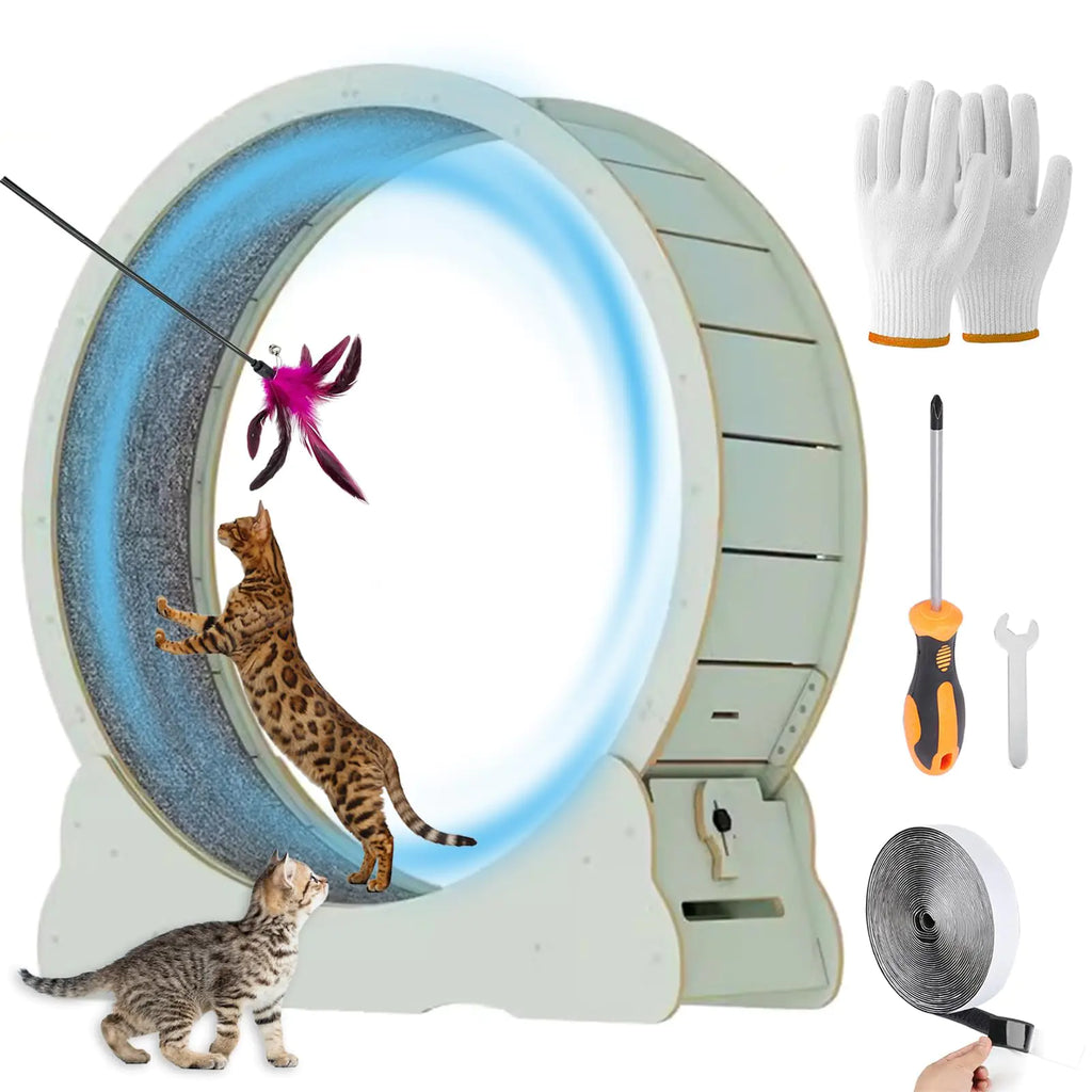 The "Aero-Glide" | Designer Mint Edition Silent Cat Wheel