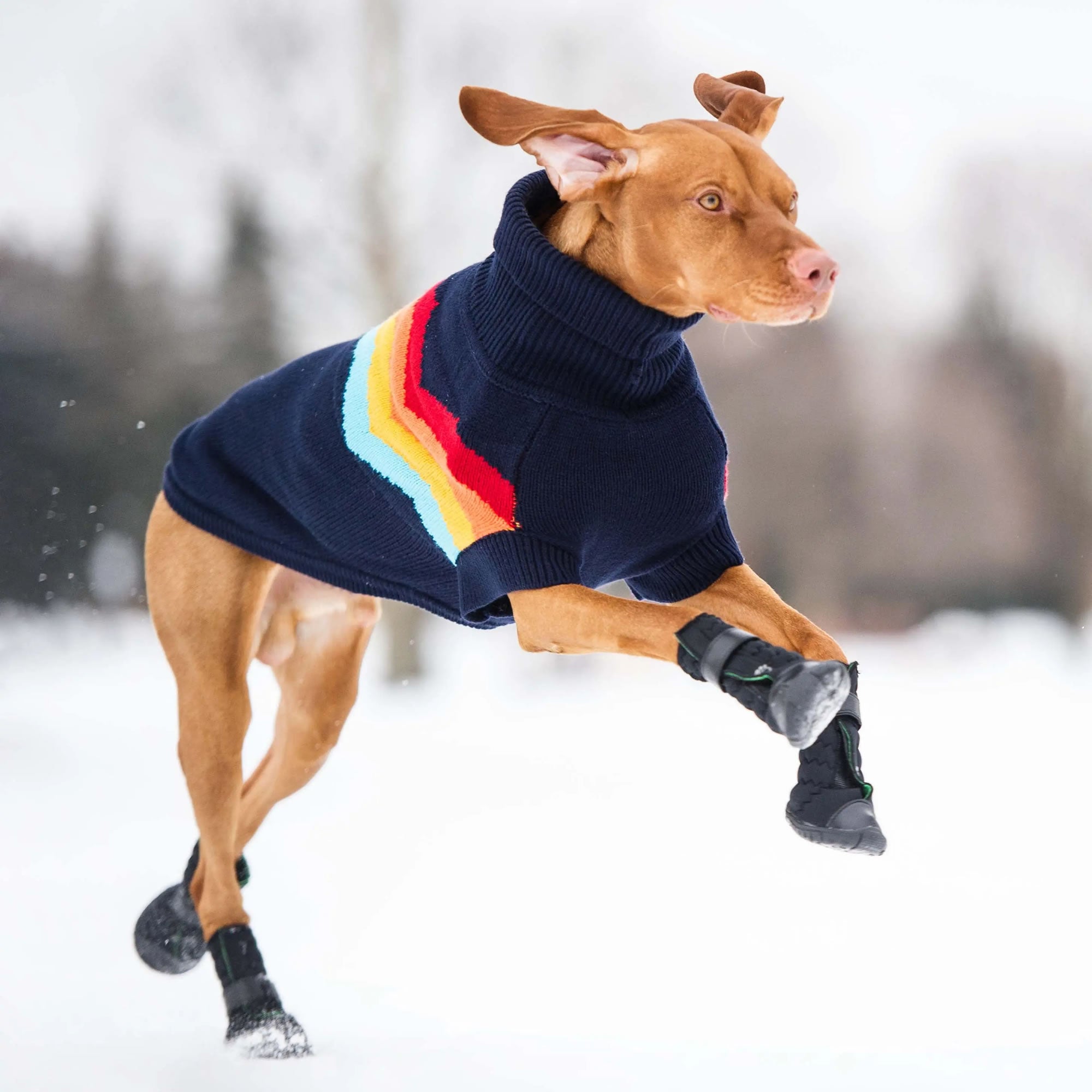 Aero - Grip™ Elasto - Fit Urban Boots Pets - Dog Clothing & Shoes Petcetera™