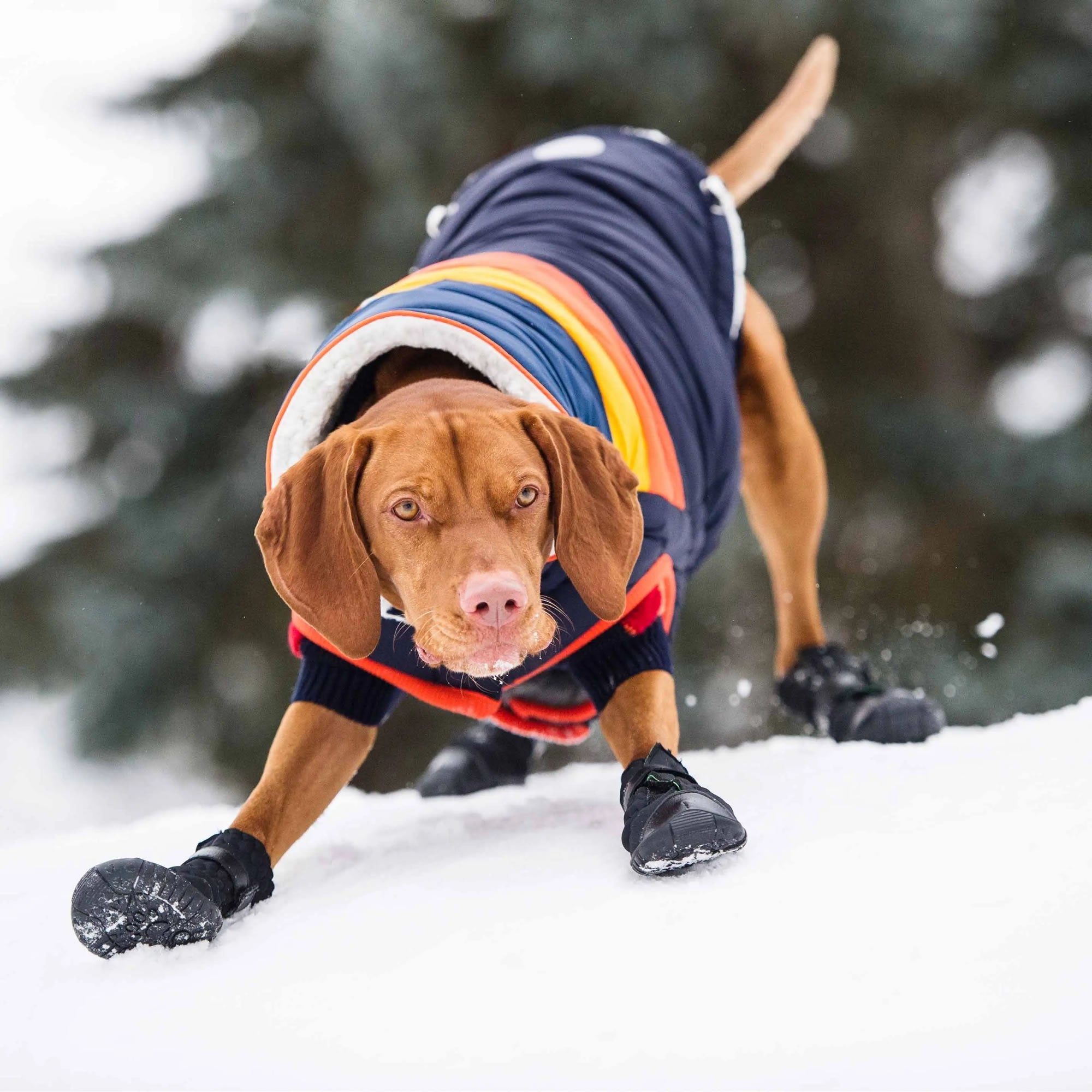 Aero - Grip™ Elasto - Fit Urban Boots Pets - Dog Clothing & Shoes Petcetera™