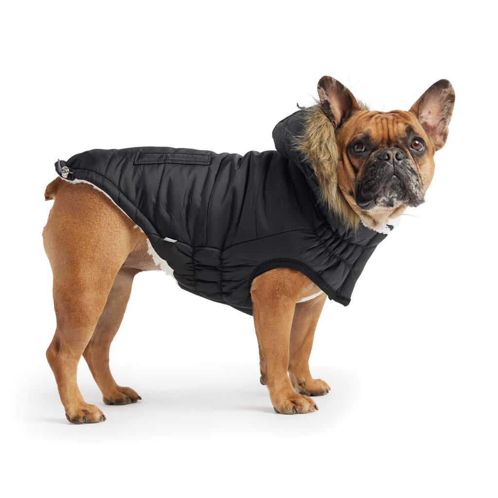 Aero - Shield™ Urban Parka Pets - Dog Clothing & Shoes Petcetera™
