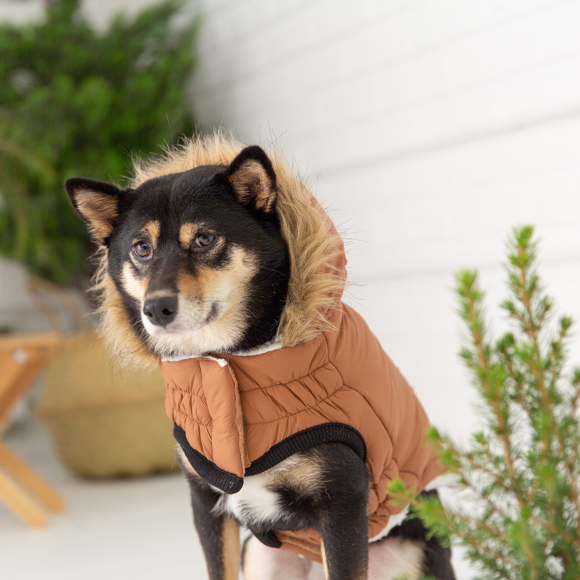 Aero - Shield™ Urban Parka Pets - Dog Clothing & Shoes Petcetera™