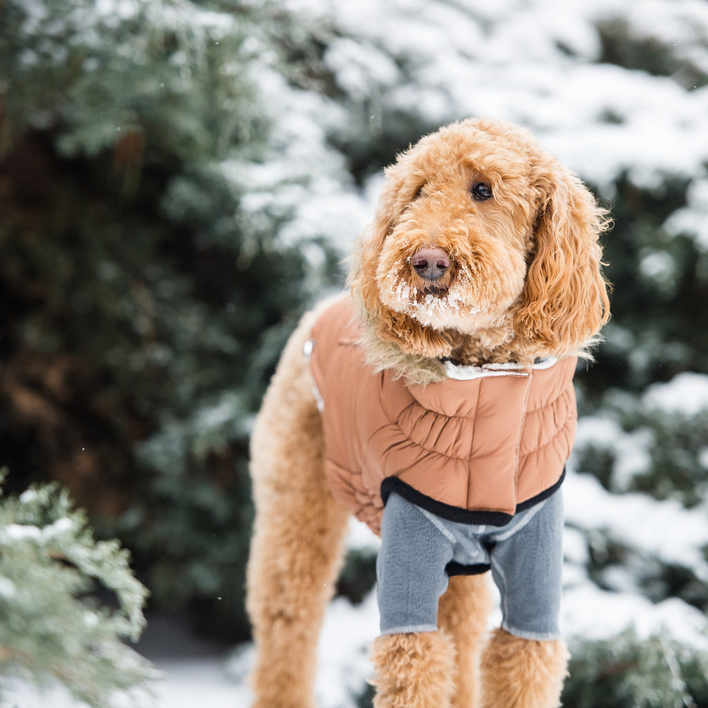 Aero - Shield™ Urban Parka Pets - Dog Clothing & Shoes Petcetera™