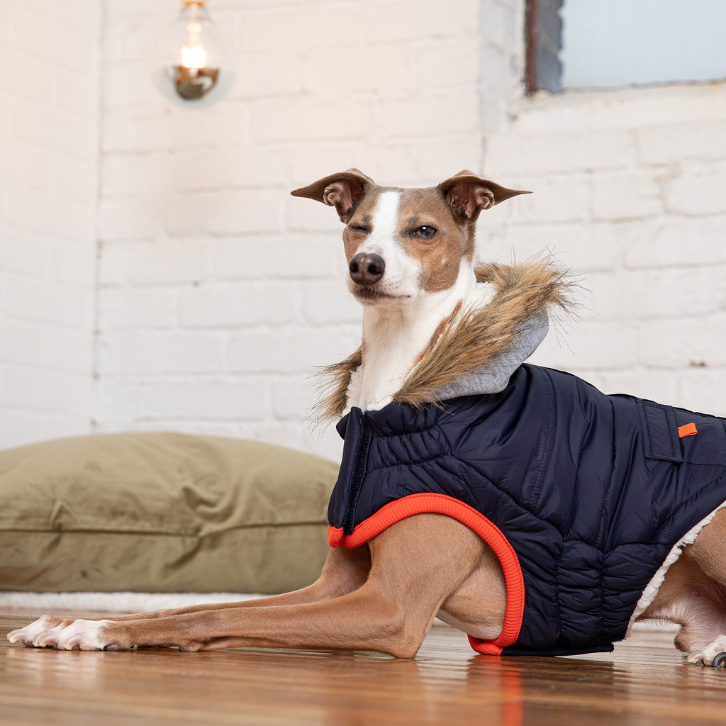 Aero - Shield™ Winter Sailor Parka Pets - Dog Clothing & Shoes Petcetera™