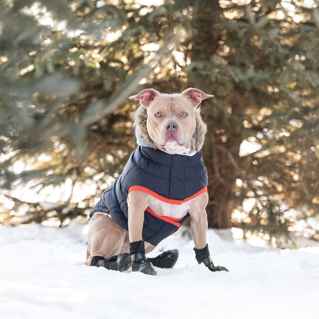 Aero - Shield™ Winter Sailor Parka Pets - Dog Clothing & Shoes Petcetera™