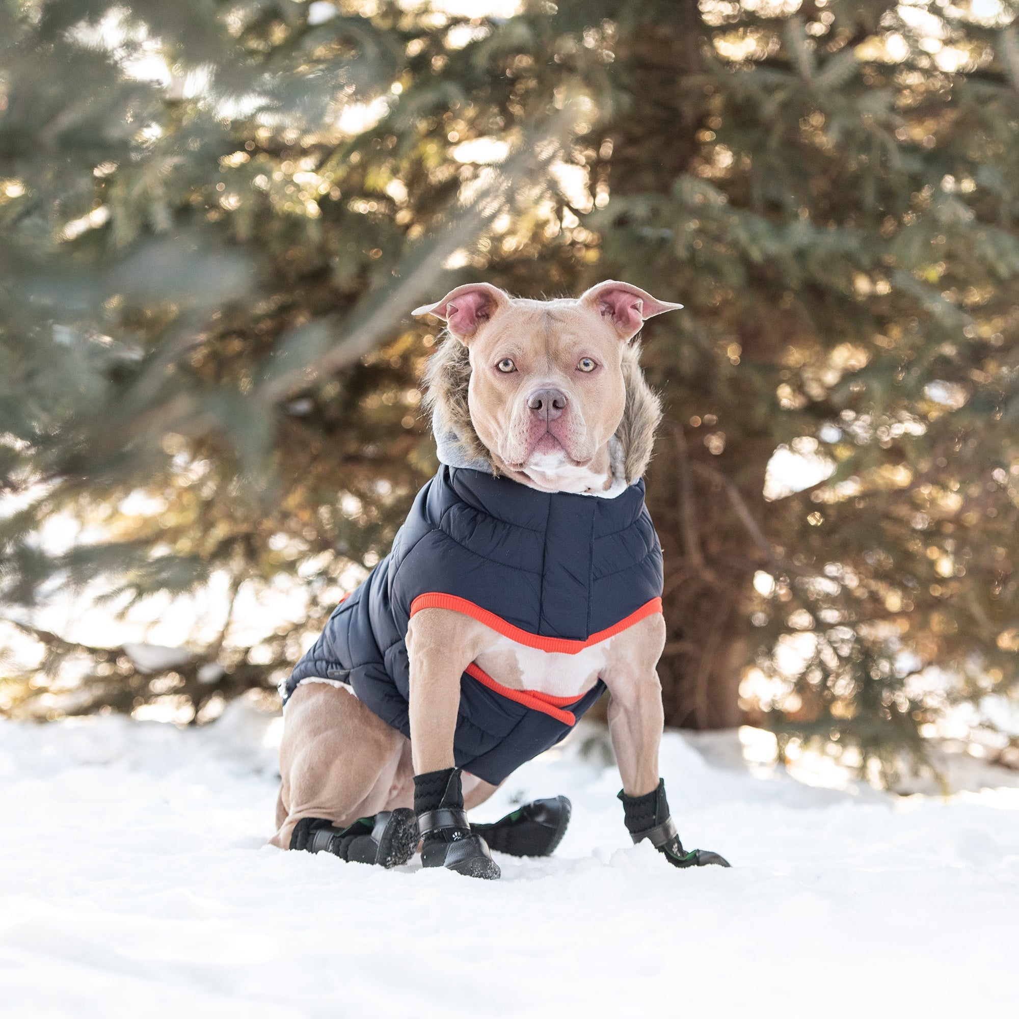 Aero - Shield™ Winter Sailor Parka Pets - Dog Clothing & Shoes Petcetera™