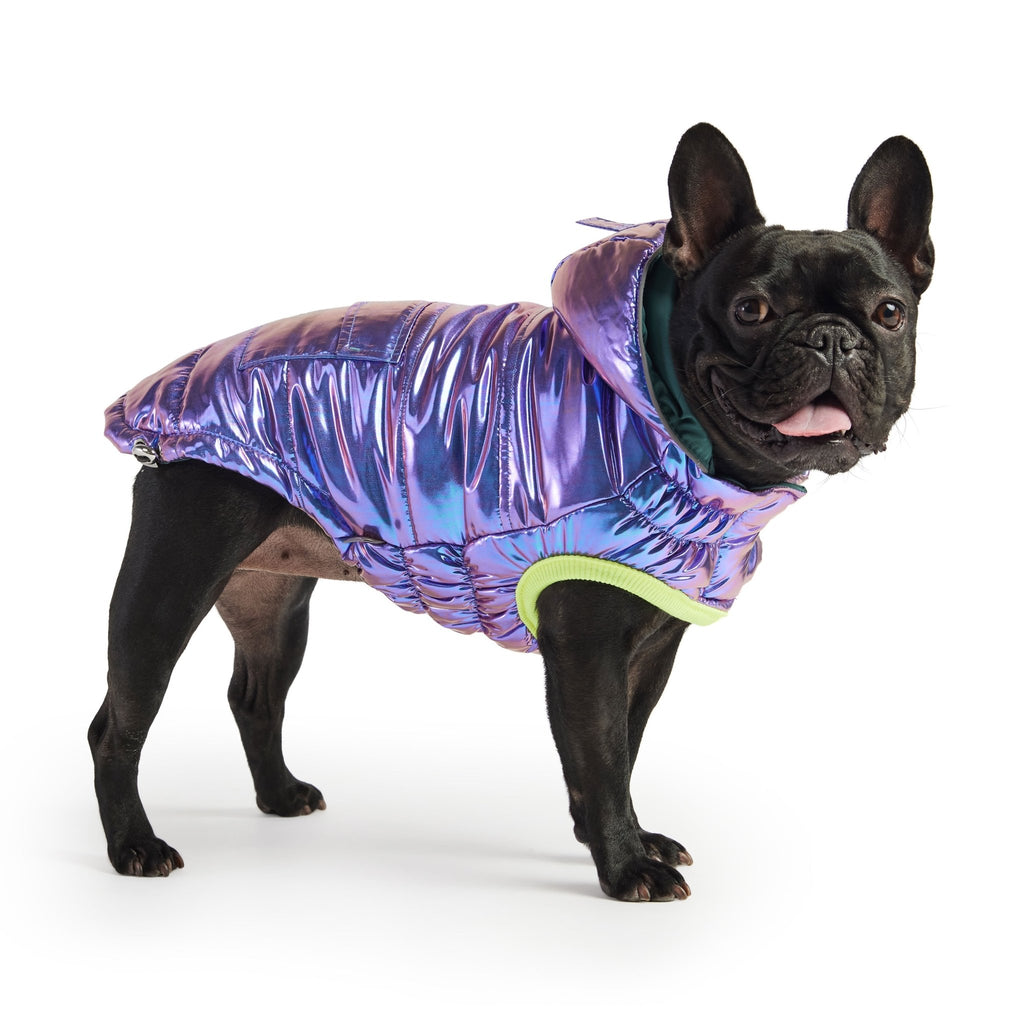 Aero - Shield™ Iridescent Prism - Node Pets - Dog Clothing & Shoes Petcetera™