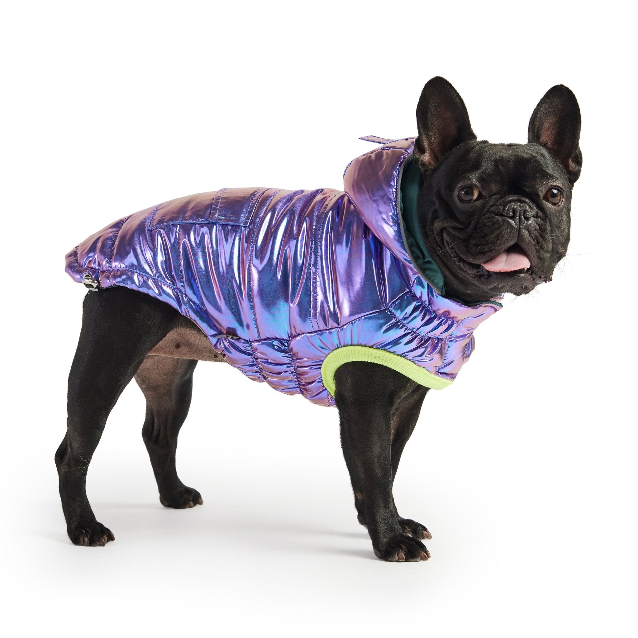 Aero - Shield™ Iridescent Prism - Node Pets - Dog Clothing & Shoes Petcetera™