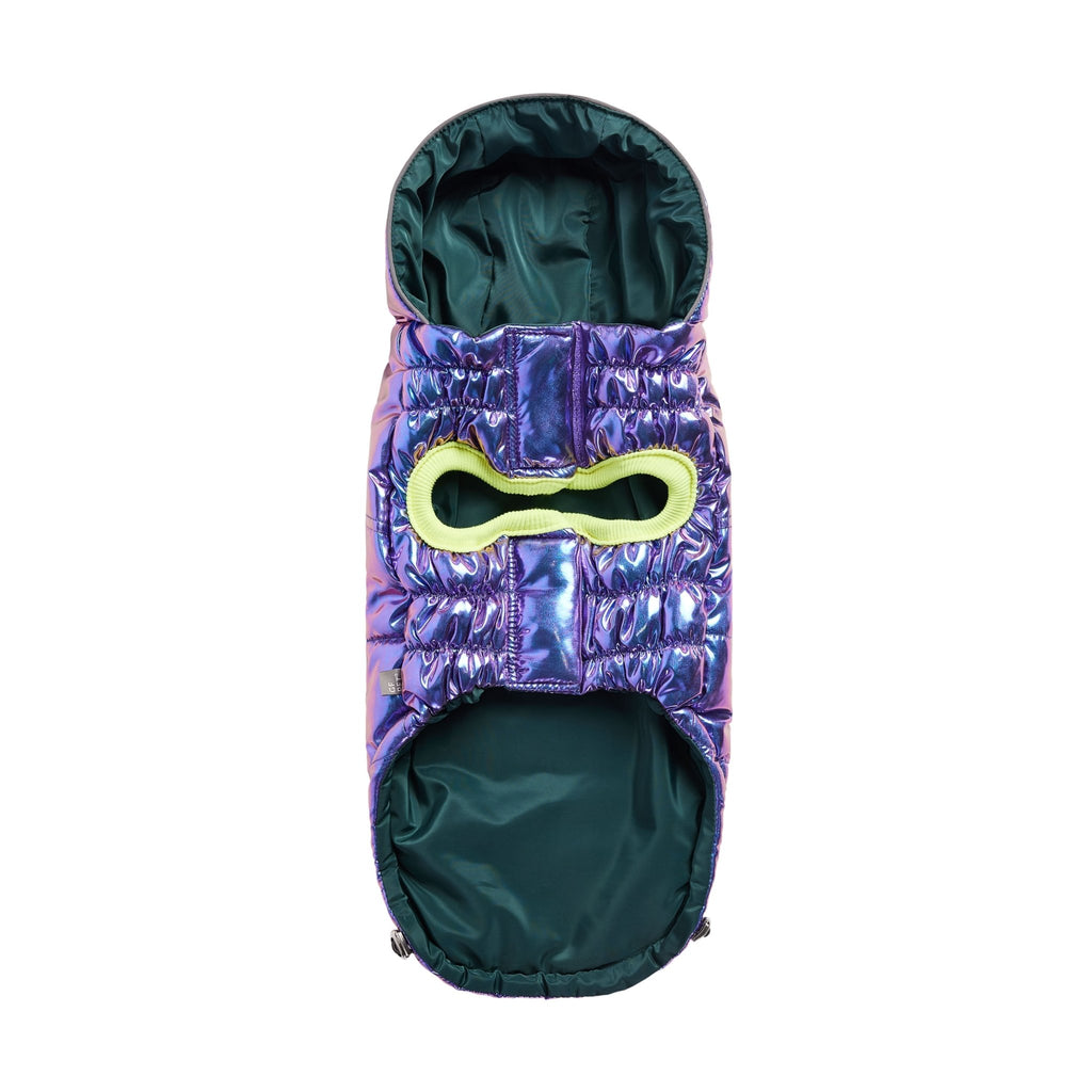 Aero - Shield™ Iridescent Prism - Node Pets - Dog Clothing & Shoes Petcetera™