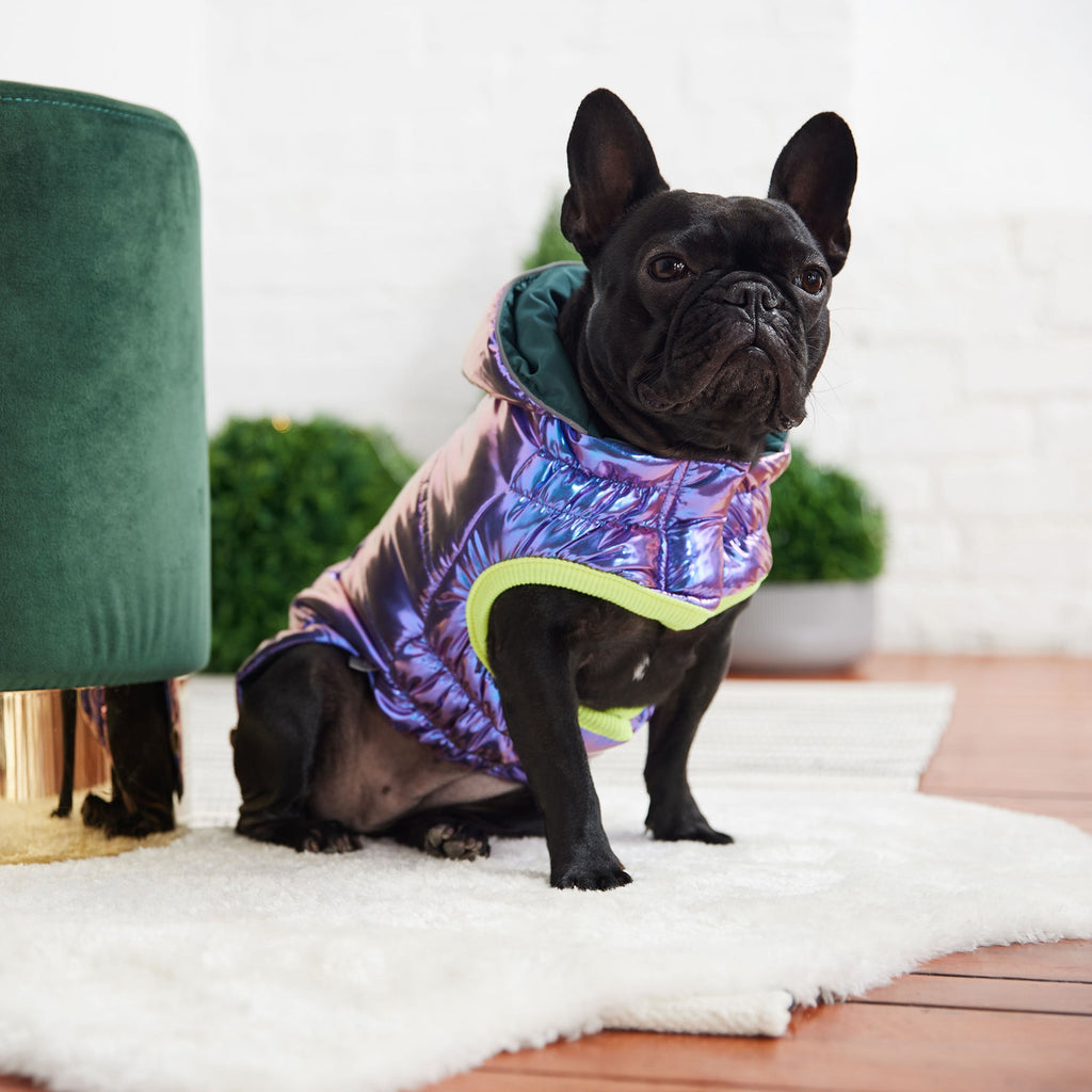 Aero - Shield™ Iridescent Prism - Node Pets - Dog Clothing & Shoes Petcetera™