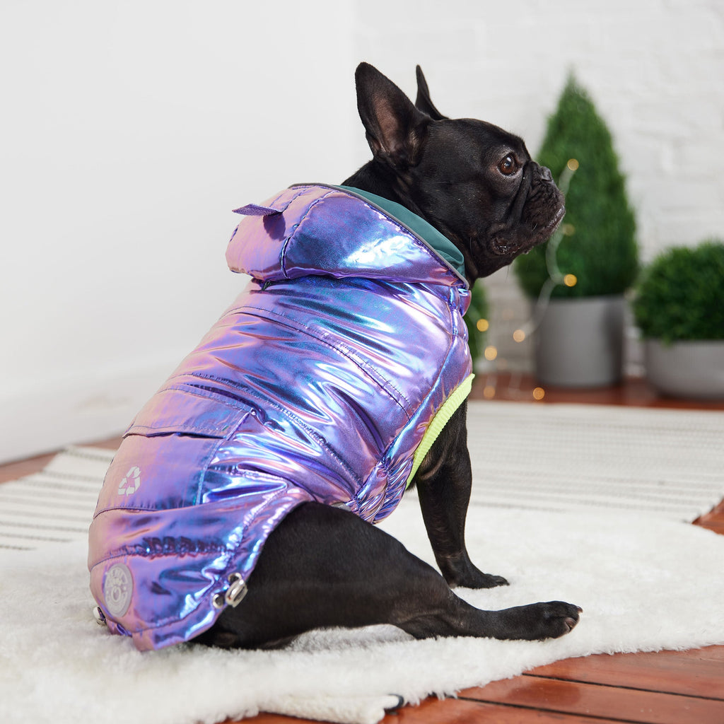Aero - Shield™ Iridescent Prism - Node Pets - Dog Clothing & Shoes Petcetera™