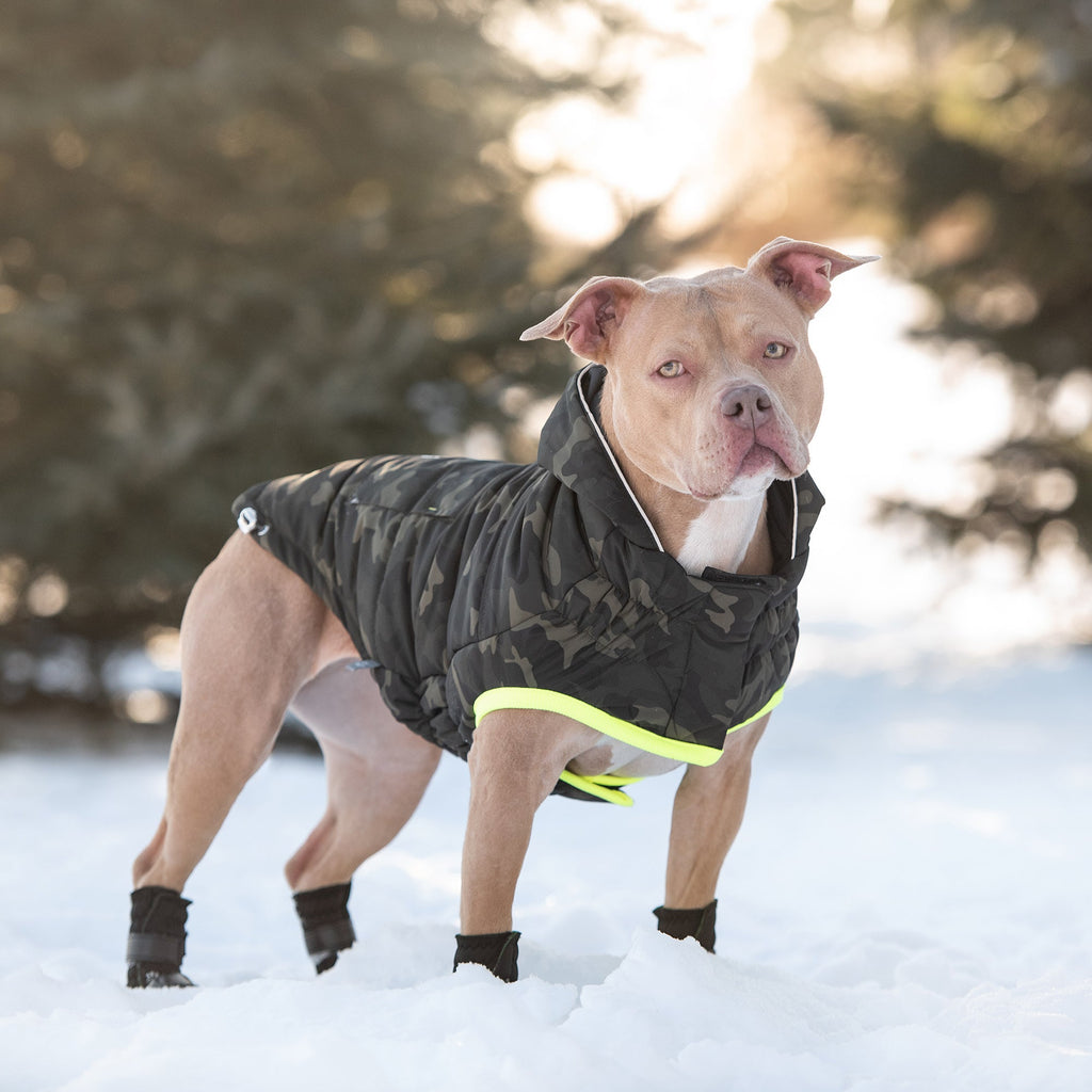 Aero - Shield™ Eco - Stealth Parka Pets - Dog Clothing & Shoes Petcetera™