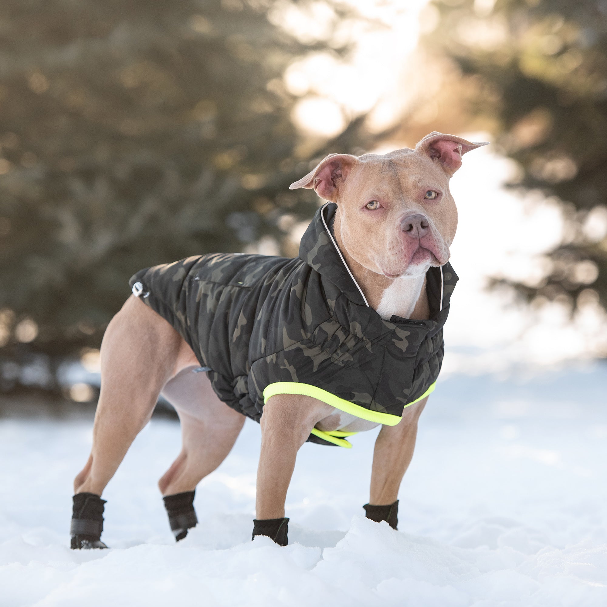 Aero - Shield™ Eco - Stealth Parka Pets - Dog Clothing & Shoes Petcetera™