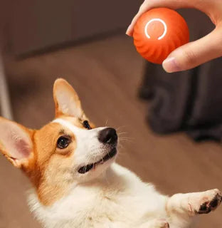The "Velocity-Sphere" X1 | Intelligent Self-Spinning Dog Toy