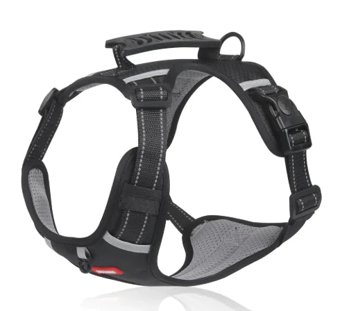 The Aero-Avenue: Night-Vision High-Visibility Harness
