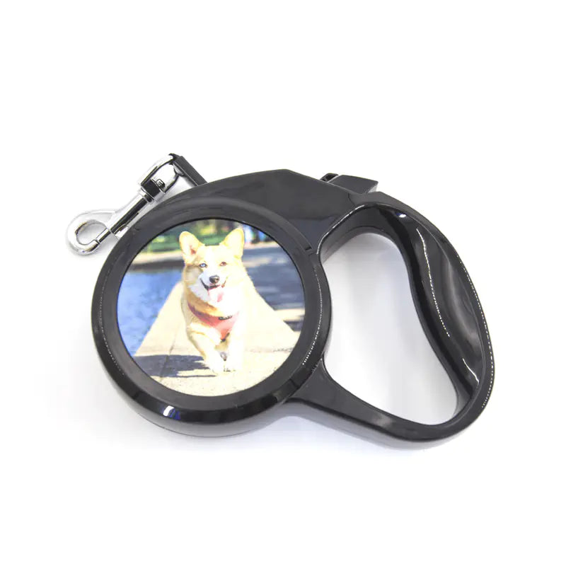 The "Identity-Lead" | Personalized Retractable Leash for Small Breeds