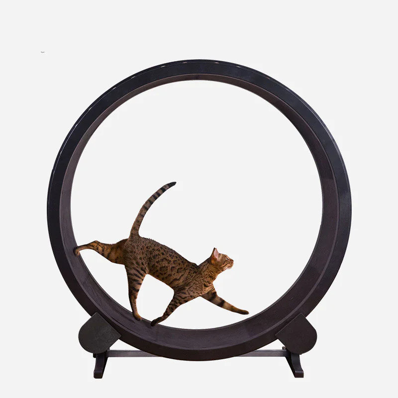 The "Aero-Orbit" | Silent Integrated Kinetic Cat Fitness Wheel