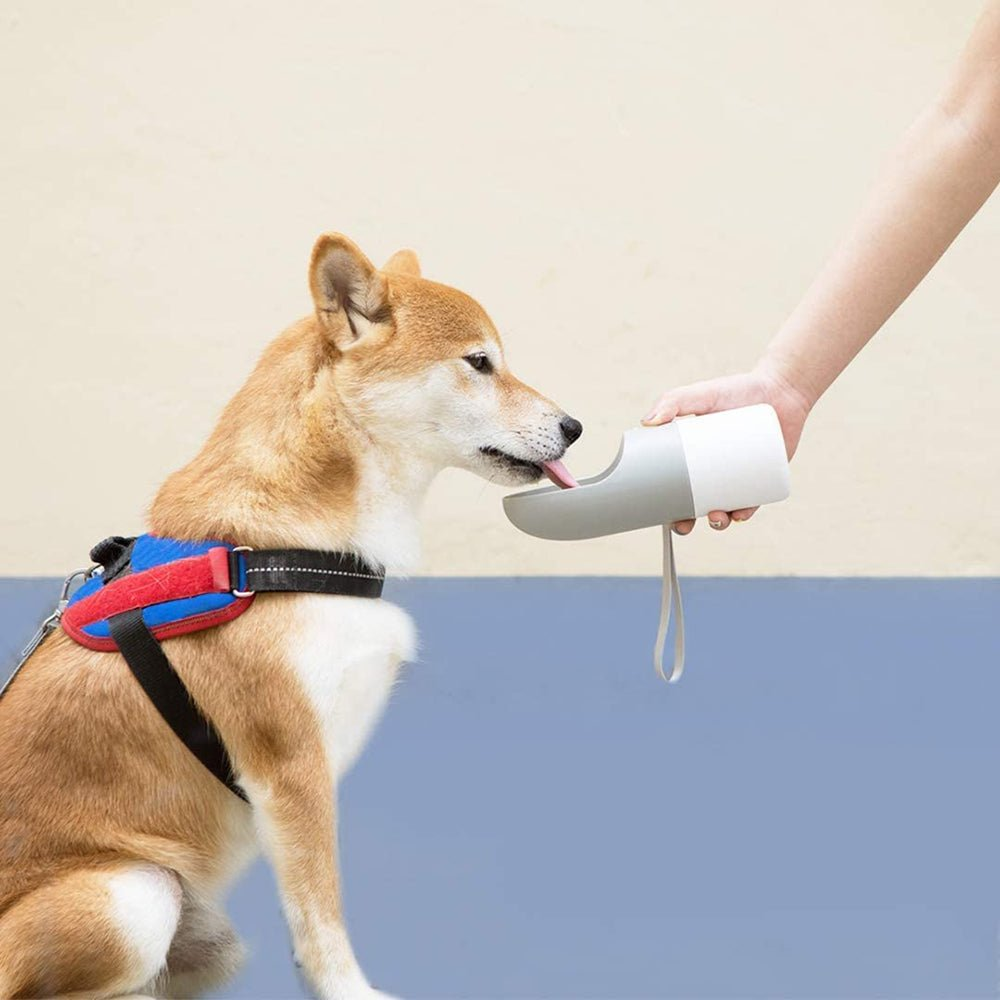 Aero - Rover™ Modular Mobility - Node Pets - Dog Carriers Petcetera™