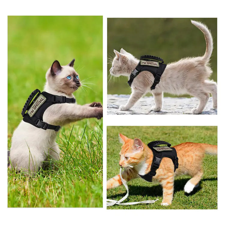 The Urban Prowler Tactical Cat Vest & Lead