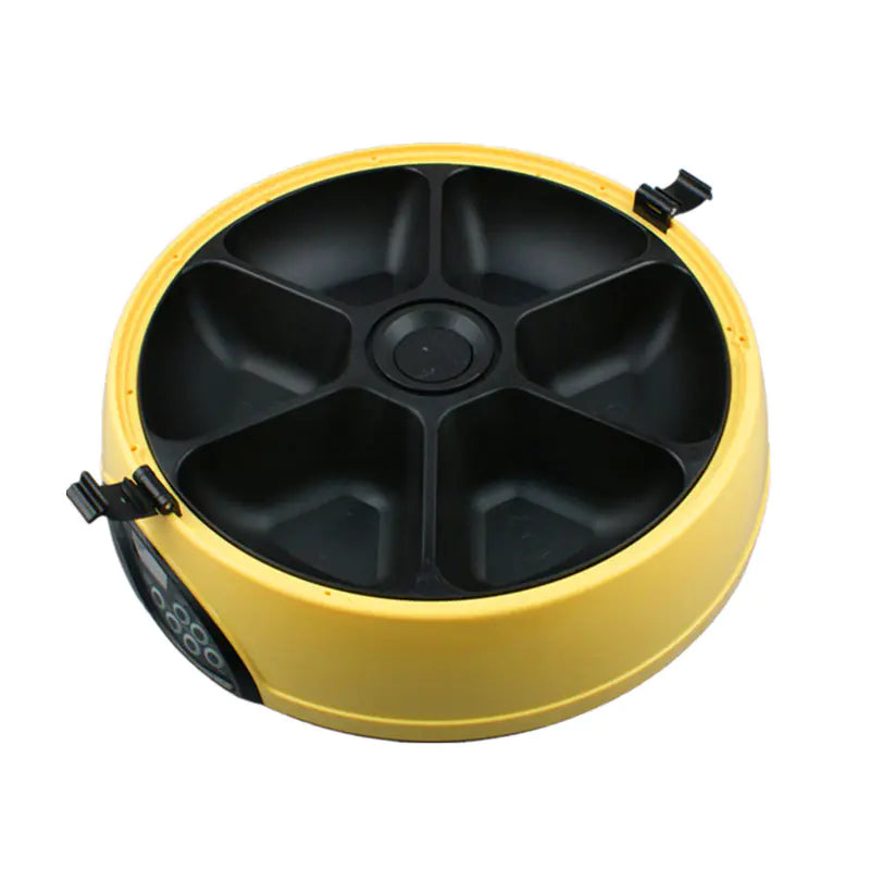 The "Harmony-Duo" Automatic Feeding Station with Stainless Steel Basin