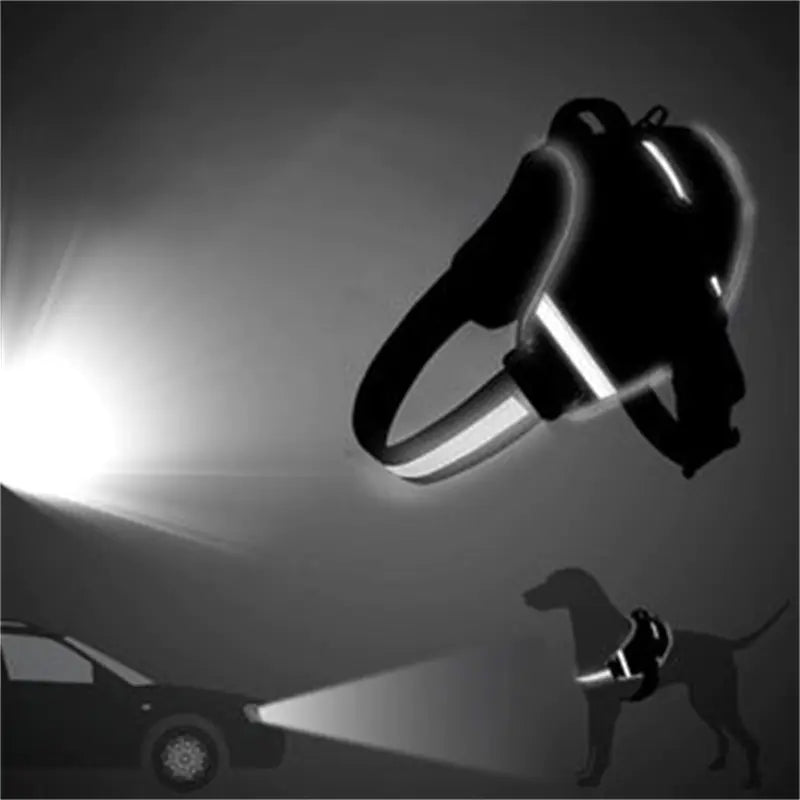 The Aero-Base: Lightweight Urban Mobility Set