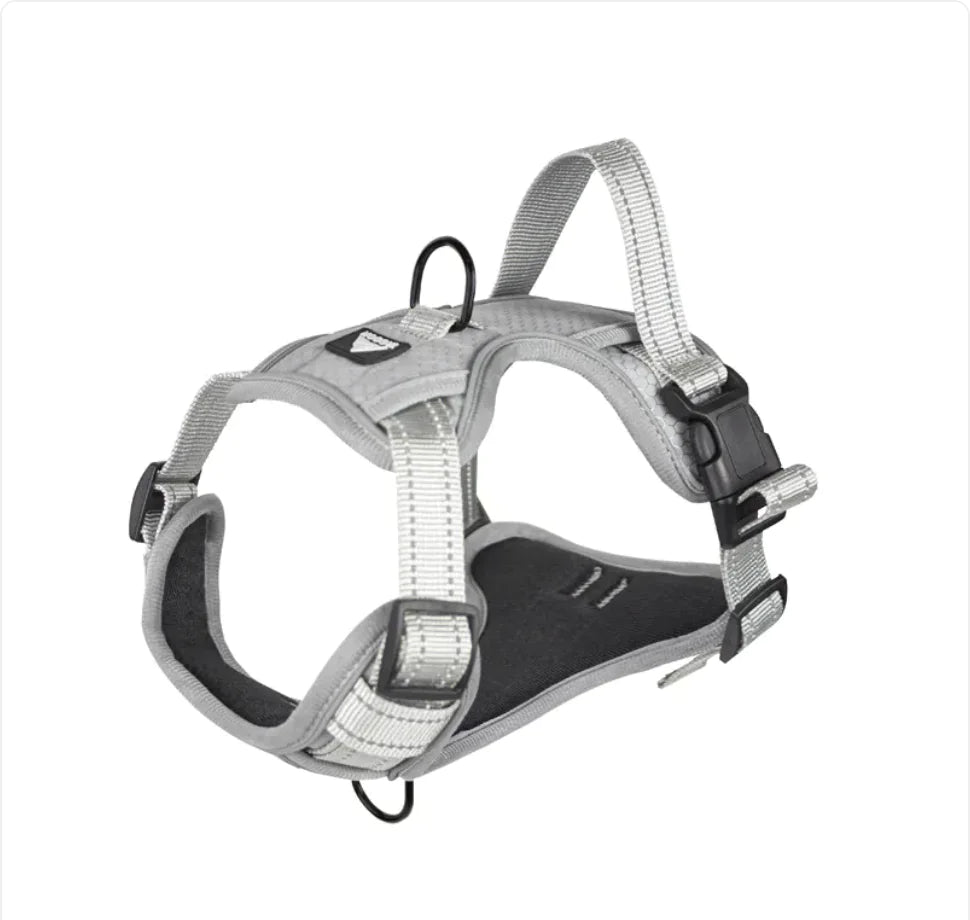 The Aero-Avenue: Night-Vision High-Visibility Harness