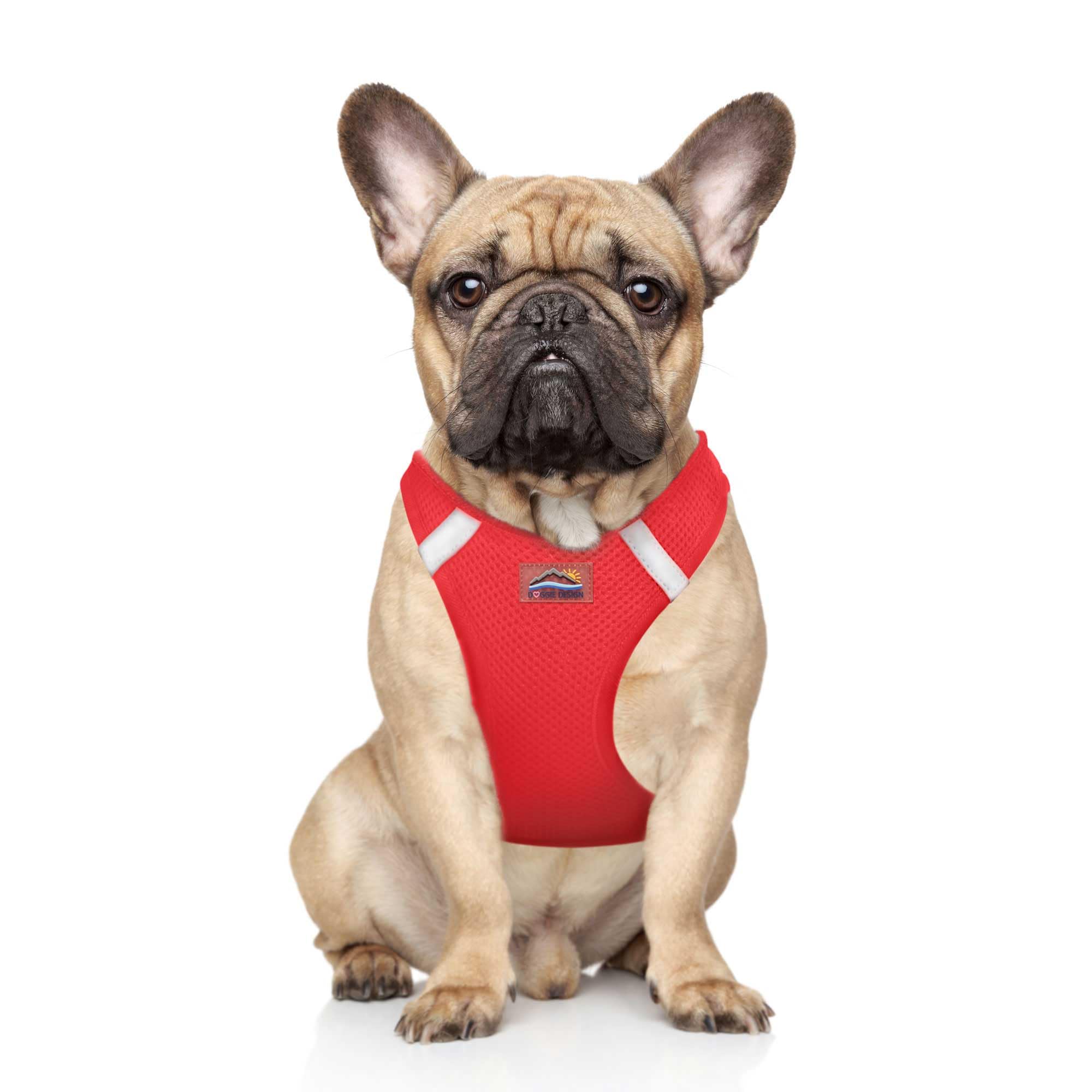 Aero - Step™ Elite Vest Pets - Dog Collars & Leads Petcetera™